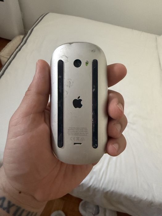 Magic mouse apple