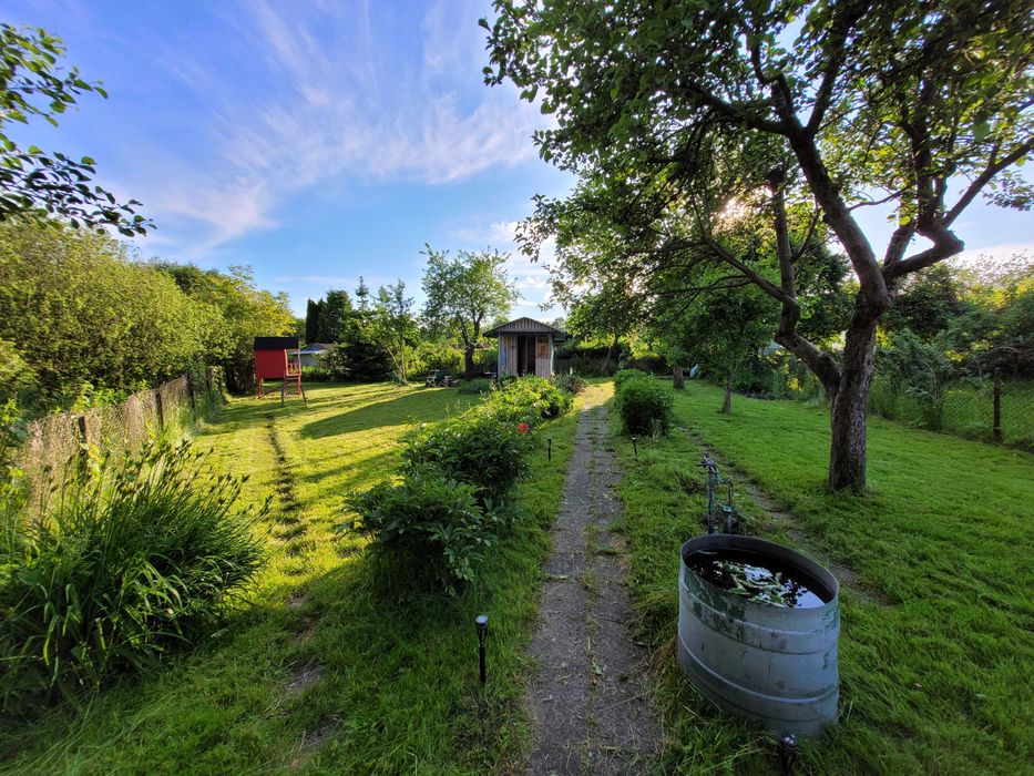 Działka ROD Kajki Olsztyn 355 m² – przyjemna - Widok 4