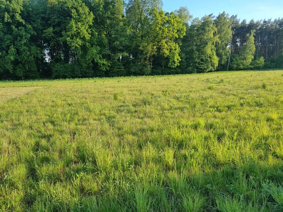 Sprzedam działkę budowlaną Trzebiny