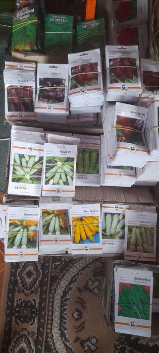 Семена овощей голандское насіння голандське якісне краща ціна