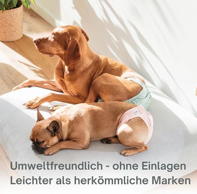 Holly Berlin рremium dog pants