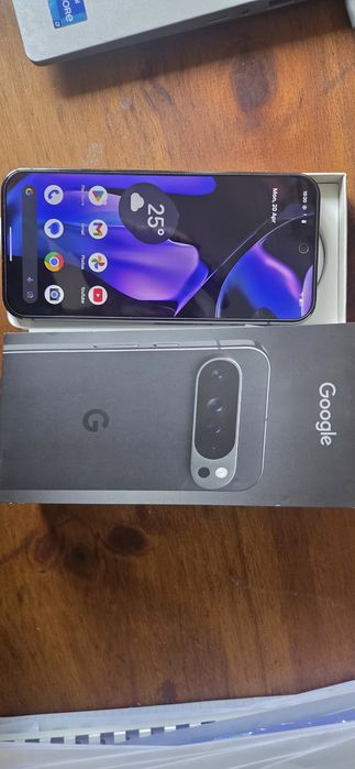 Google Pixel 9 Pro XL 256Gb