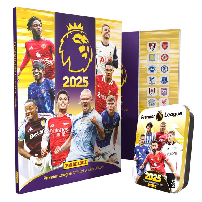 Panini premier league