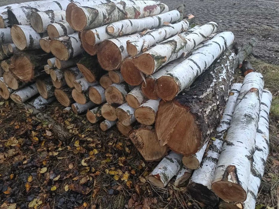 Drewno opałowe kominkowe budowlane, mierzone nie ważone