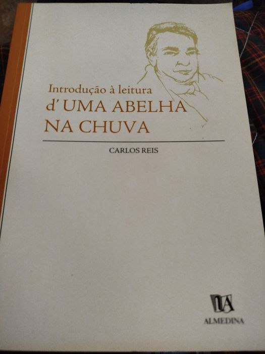 Introdução a leitura d'uma abelha na chuva