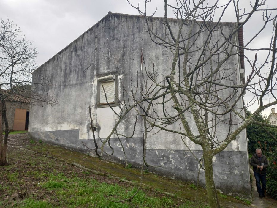 Terreno Cebolais de Cima - Castelo Branco