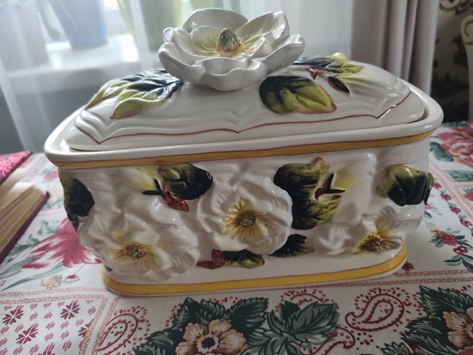 Мімоза Каподімонте