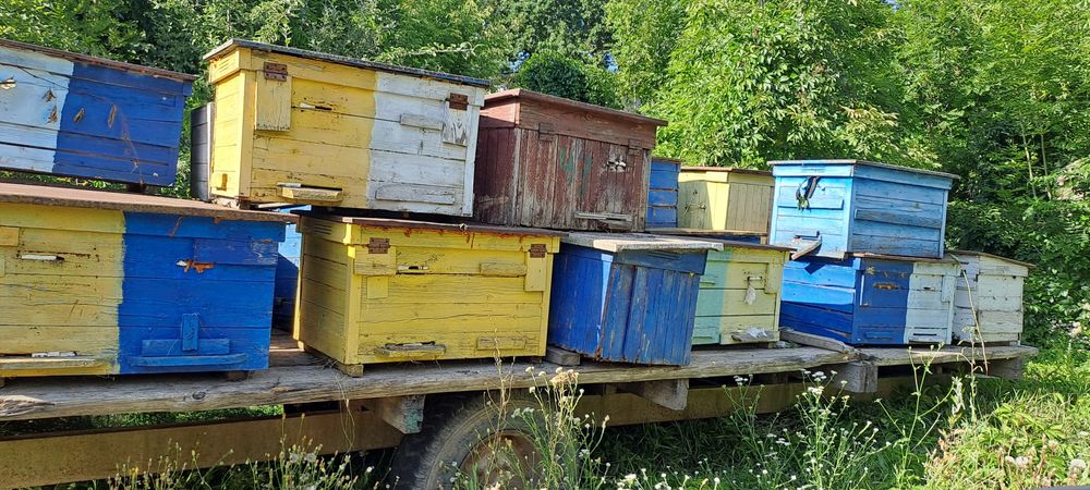 Вулики лежаки, дадан