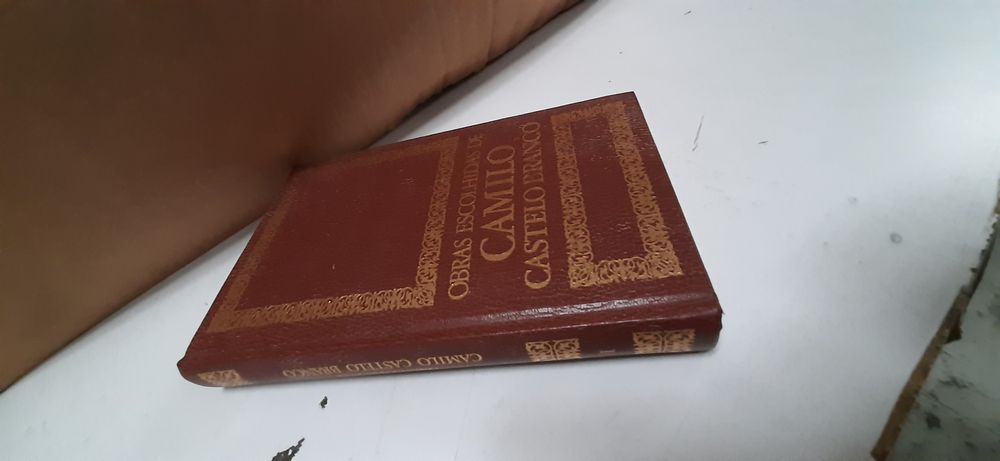 Livros vários  literatura Portuguesa e nao só… so vendo