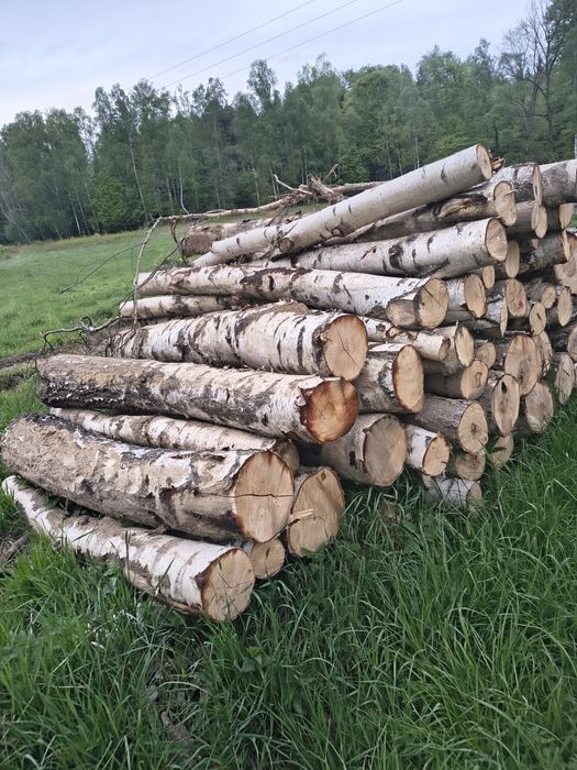 Drewno kominkowe opałowe Buk