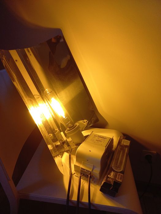 Iluminação Horticultura Solux Compact 250W – Cultivo Indoor / Estufa /