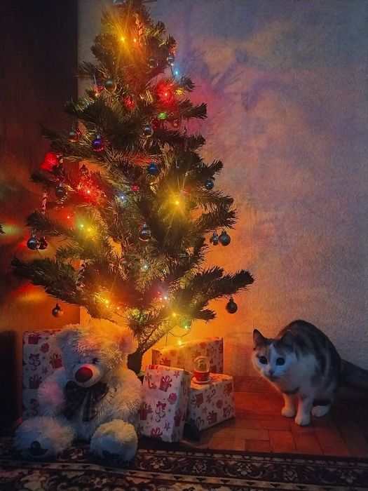 Ялинка новорічна сосна / елка зелена 130 см