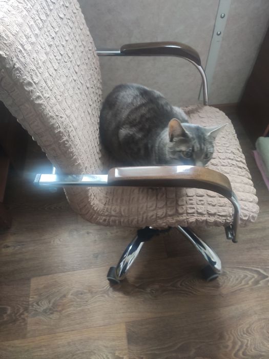 Крісло  комп'ютерне