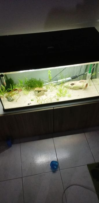 Aquário 80 40 50 com luz