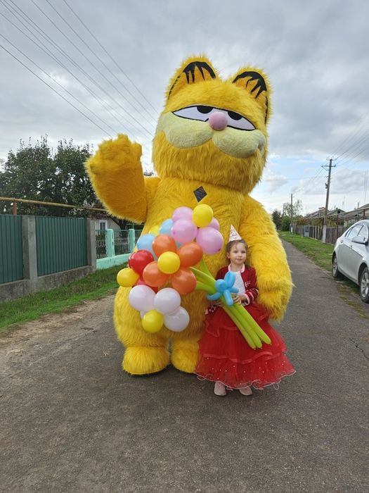 Белый Мишка, Гусь- Обнимусь, Кот Гарфилд, Зайка, Одесса, Поздравления