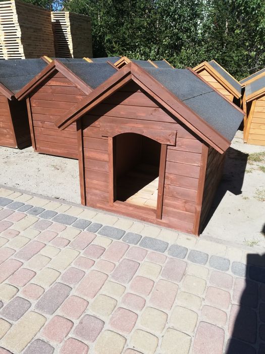 Buda dla psa owczarek labrador huski. Kurtyna, podest.