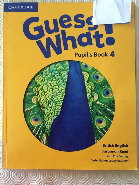 Cambridge Guess What! Pupil's Book 4
