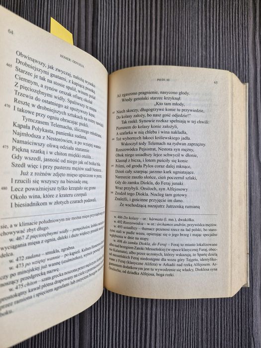 A2751. "Odyseja" Homer