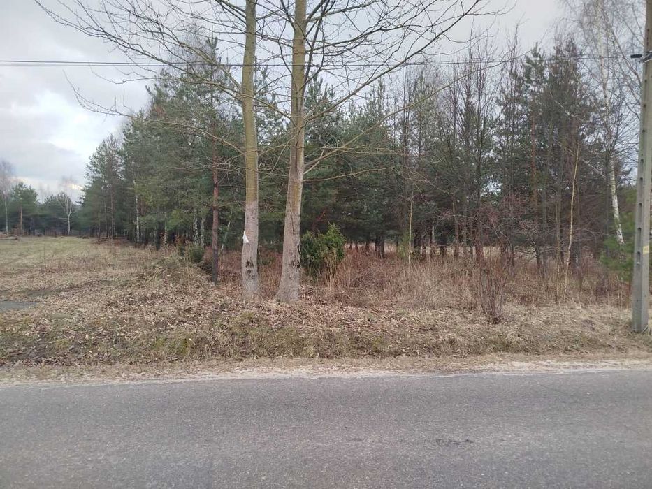 OSTATNIA! DZIAŁKA budowlana na JURZE Krakowsko-Częstochowskiej