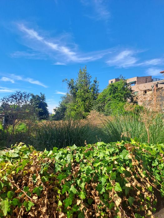 Limpeza de terrenos e jardins