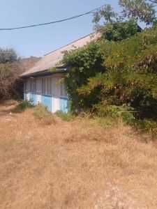 База відпочинку "Наука", Одеська обл. с. Сичавка