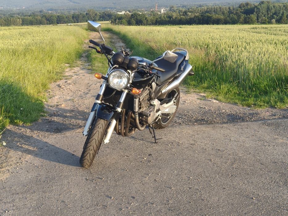 Hornet 900 Stinky