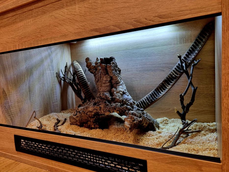 Terrarium 80x50x50 dla węża pytona boa