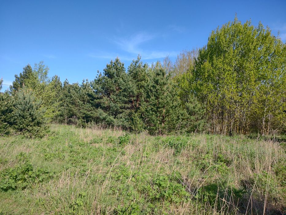 Дмитрівка, Куба,  земельна ділянка 10 соток