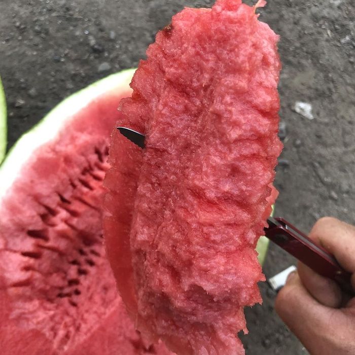 Насіння Кавуна ЮММІ F1 1000шт JUMMI F1  ЮММИ F1 Семена  Арбуза