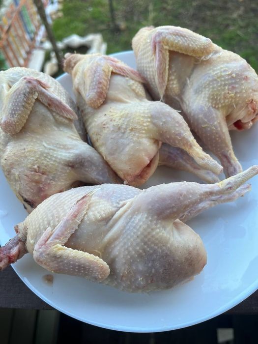 Перепела,тушки,яйцо