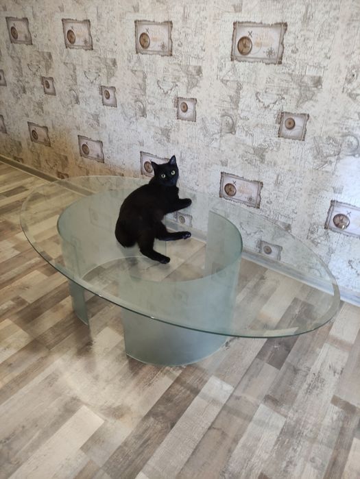 Стеклянный журнальный стол