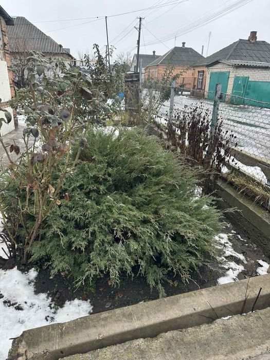 Продам будинок на Решкуті