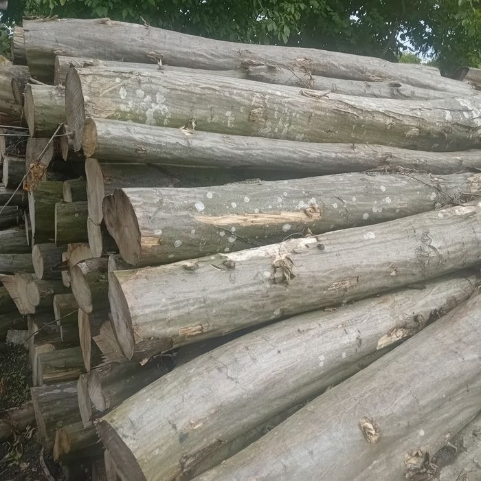 Drewno kominkowe grab