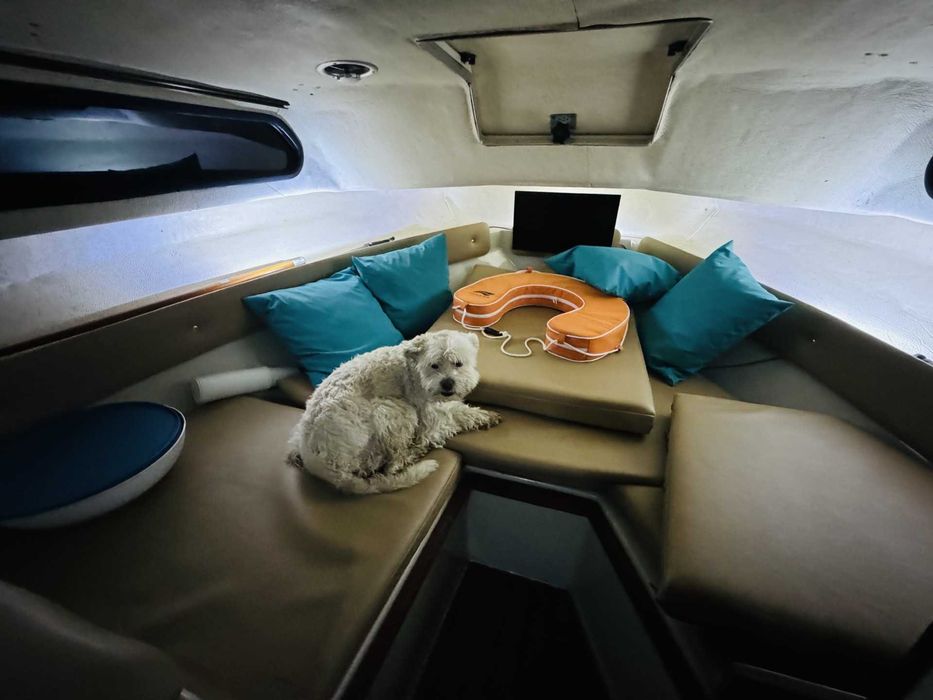 Barco no coraçao Douro