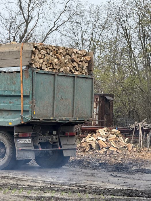 дрова твердых пород дёшево  с документами