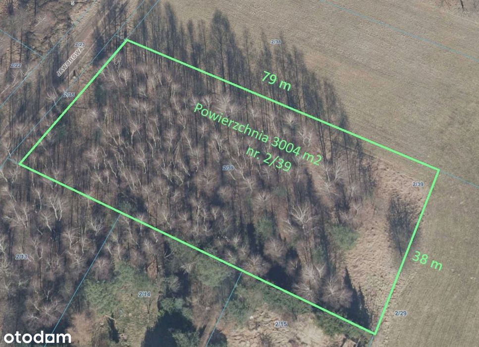 Bukowiec / Grabina / Nowosolna – działka 3004 m² w PKWŁ - Widok 3