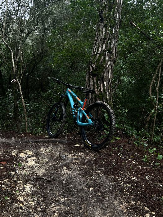Yeti sb6 carbon 2019