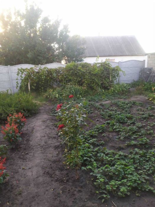 Продам дом в Елизаветовке