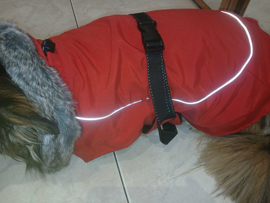 Kurtka dla psa. Kurteczka dla psa. Ubranko dla psa.