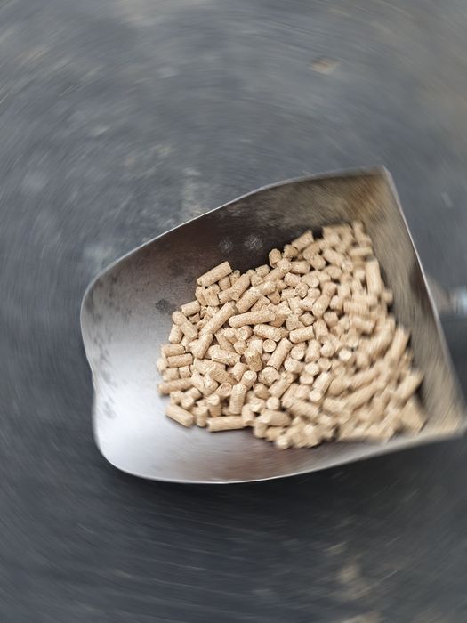 Pellet sosnowy drzewny A1 od producenta