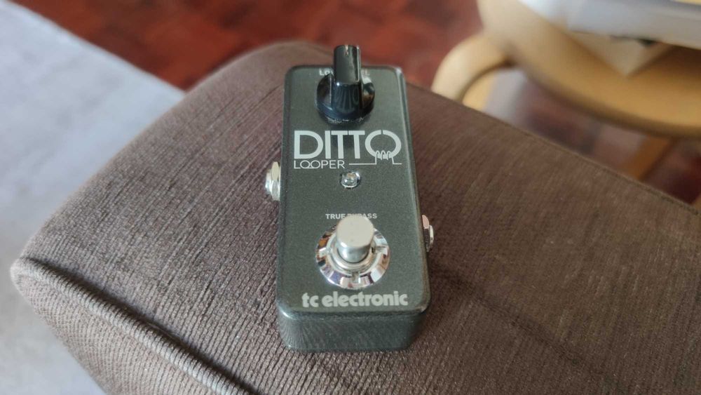 tc electronic Ditto Looper