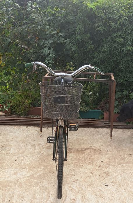 Bicicletas de colecção Homem e Senhora