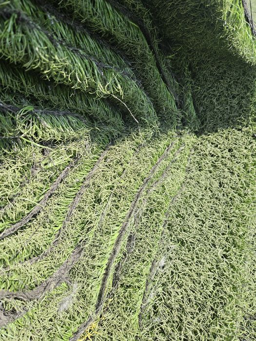 Relva Sintética Usada