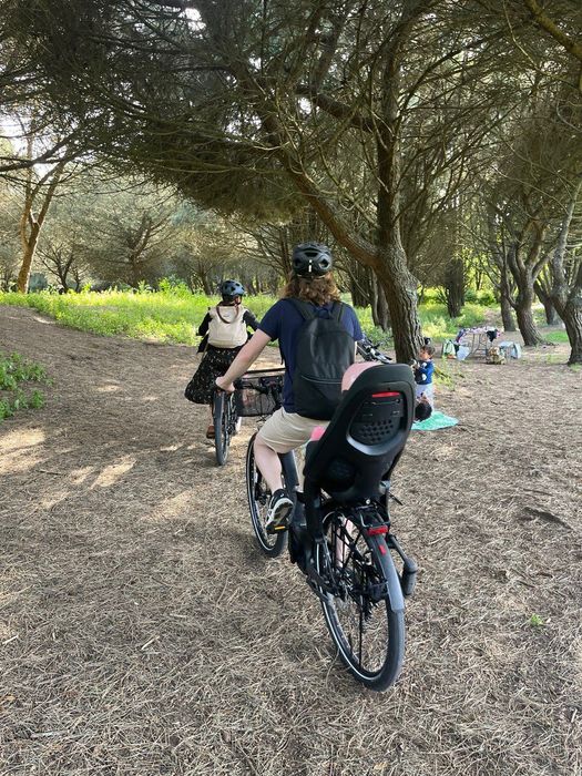 Bike / e-bike moving sale