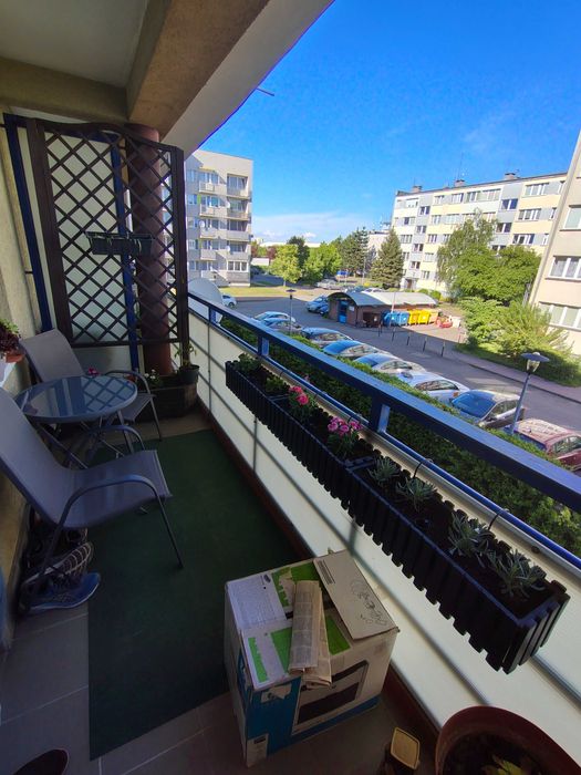 BEZPOŚREDNIO - 2 pokoje | 50 m² | po remoncie 2023 | balkon | parking za szlabanem | Muchobór Wielki - Więcej
