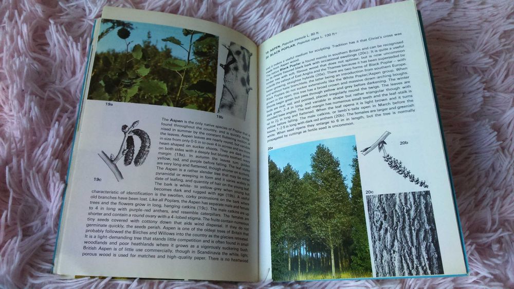 Книга англійська Trees in Britain  Дерева Британії Широколисті кн. 1