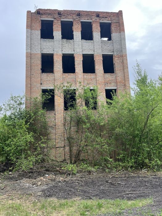 Будівля біля лісу