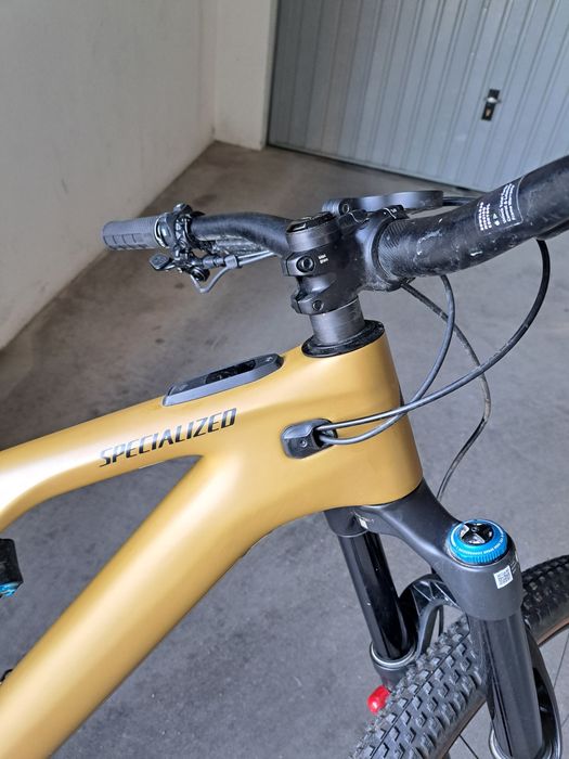 Specialized Turbo Levo