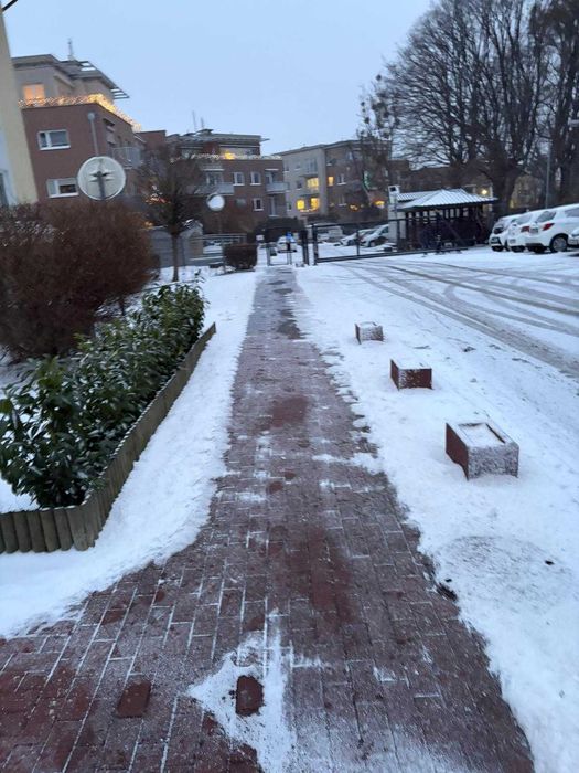 Sprzątanie budynków i terenów – Domyte Trójmiasto