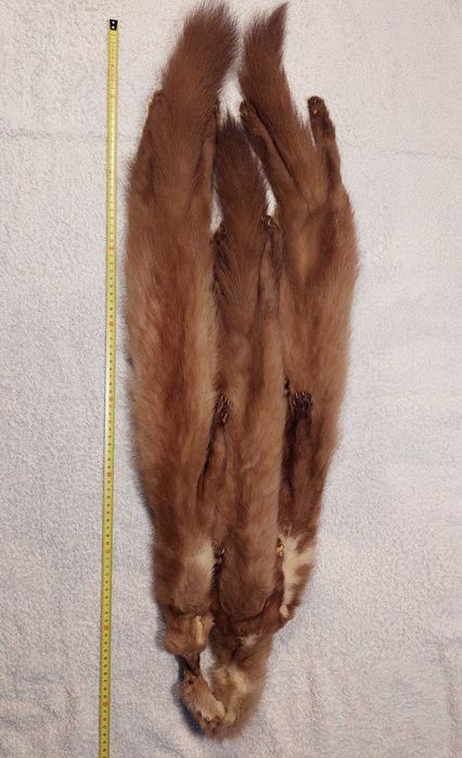 Gola Vintage de Vison – Meados do Século XX